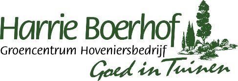 Harrie Boerhof